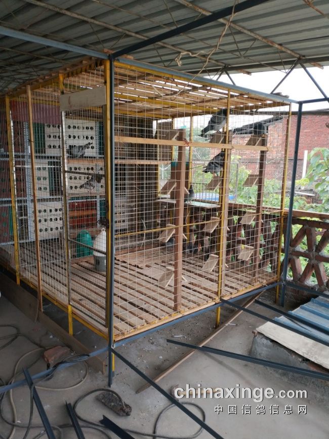 做鸽笼做上瘾工薪小棚在建中