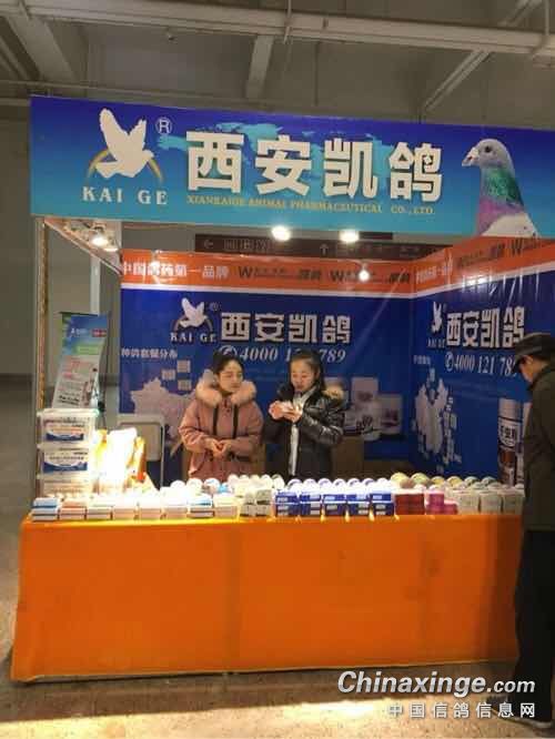 西安凯鸽台湾黄烔同心连心的展位兰州鼎盛公棚台湾东盟北京育英天津龙