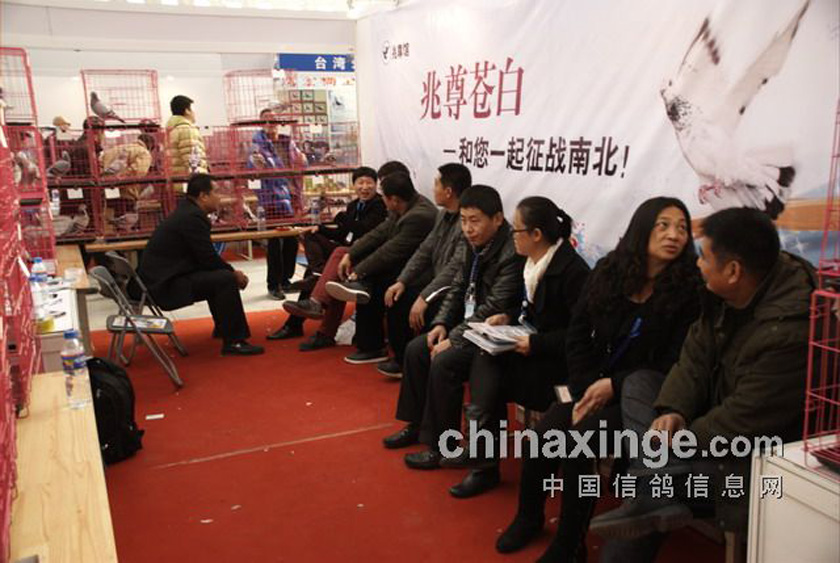 图集兆尊馆胡维奇苍白系