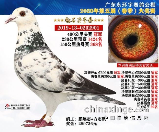 搜鸽天下-信鸽足环查询查成绩-决赛称霸 一举夺冠!